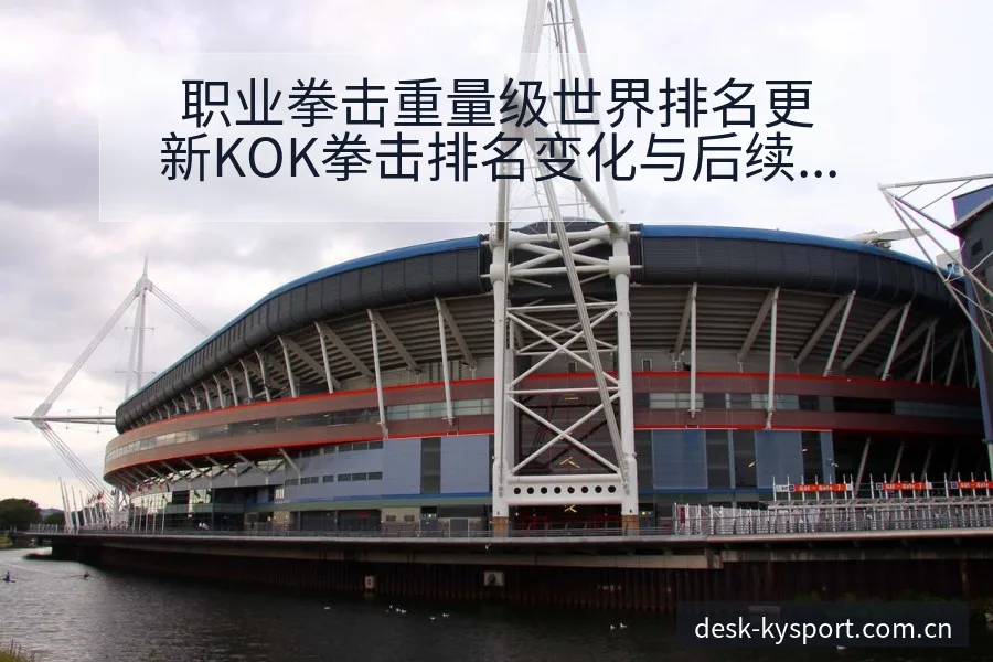 职业拳击重量级世界排名更新KOK拳击排名变化与后续走势签 - 开云体育网址